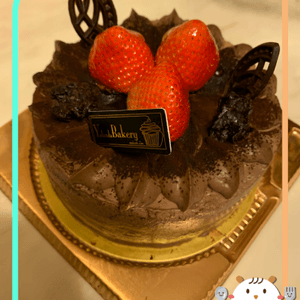 Chocolate & hazelnut cake 