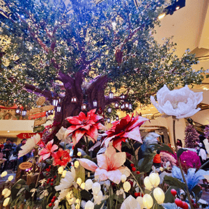 今年金鐘太古廣場的聖誕裝飾真的超美的！...