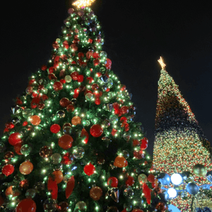 好漂亮的聖誕🎄