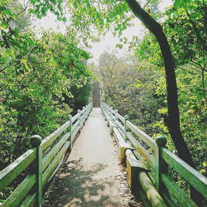 探索中世紀的聖堂：大嶼山神樂院之旅