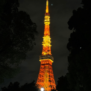 🇯🇵夜遊•東京鐵塔🗼