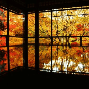 紅葉的瑠璃光院