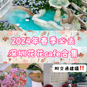 🌸2024年春季必去📍深圳花花打卡cafe合集