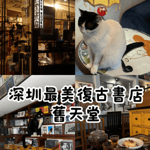 📚深圳最美復古日系書店🐈‍⬛有貓貓店長‼️