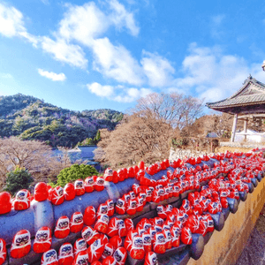 遍佈著達摩不倒翁嘅勝尾寺