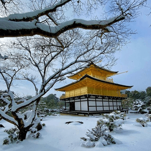 雪之京都金閣寺