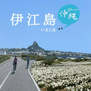 沖繩伊江島一日遊，單車騎行環7大景點