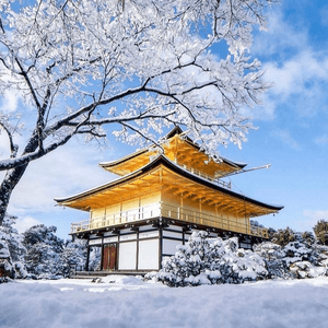 被白雪覆蓋的鹿苑寺/金閣寺,你們喜歡嗎？