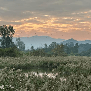 香港遊 | 元旦日南生圍賞日出