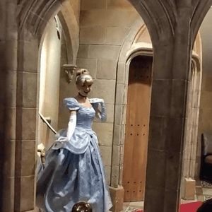 美國奥兰多迪士尼魔幻王国灰姑娘城堡里的‘灰姑娘皇家餐桌’童话晚餐 Diseny Cinderella Castle