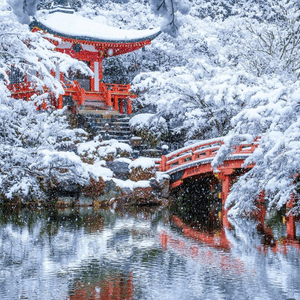 雪之京都 醍醐寺