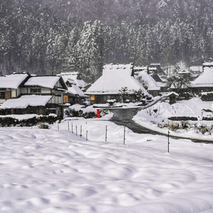 雪之京都美山茅草屋