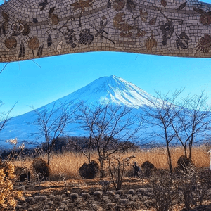 富士山靚景
難得天朗氣清
親身體驗
神...