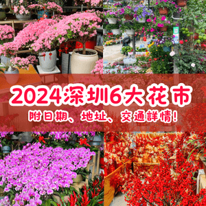 🐲2024年深圳6大花市🌸附日期、地址、交通詳情‼️