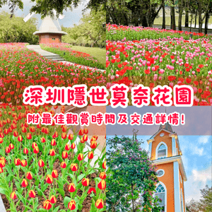 🌷深圳隱世莫奈花園🌷附最佳觀賞時間及交通詳情‼️