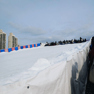 Snow sledding inside Seoul