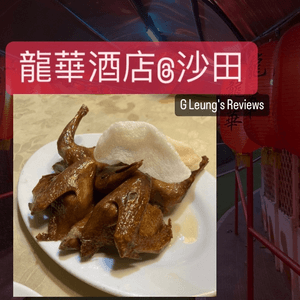 去沙田食乳鴿雞粥的老牌子 龍華懷舊風味菜