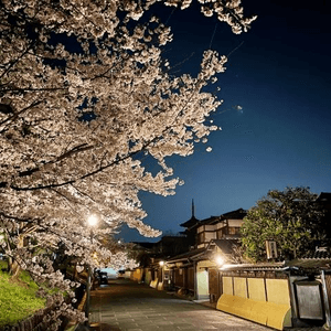 京都的春夜漸漸深沉