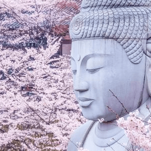 喜愛的奈良壺阪寺