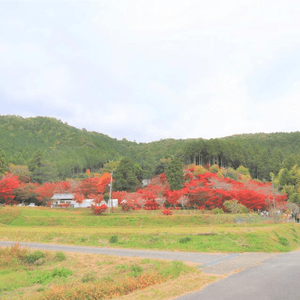 丹波篠山