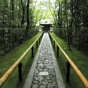 京都的大德寺