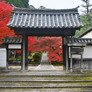 京田邊市的一休寺