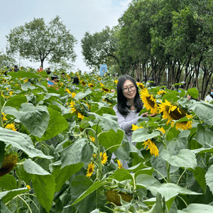 深圳一日遊：打卡太陽花+歐洲小鎮