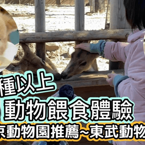 【日本東京】東京動物園推薦｜10種以上動物餵食體驗｜水豚君｜騎小馬｜白老虎餵食｜草泥馬餵食｜可愛爆表｜東武動物園｜東京近郊親子遊推薦｜tokyozoo｜tobuzoo