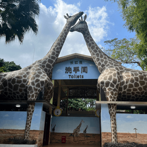 Safari Park Shenzhen