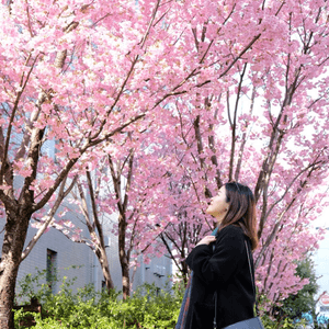 東京賞櫻推介🌸中目黑