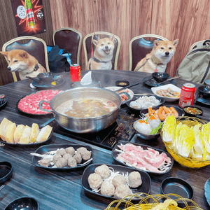 推介 | 帶狗狗一齊打邊爐🤩仲要好好食😋