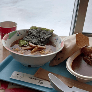 北海道旭川動物園雪景lunch