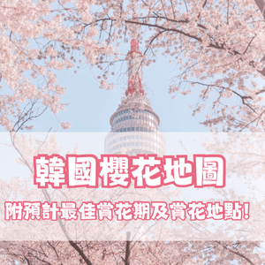 🌸2024韓國櫻花地圖 附最佳賞花期及各區賞櫻地點🌸