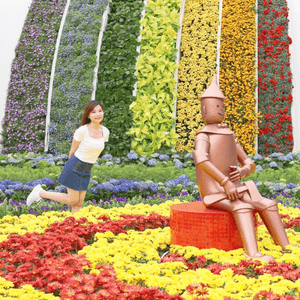 香港花卉展覽2024