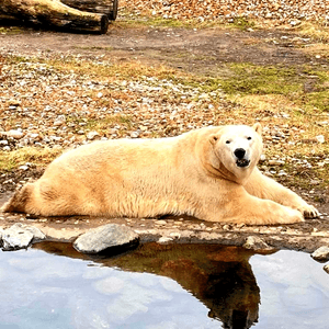 Tallinn Zoo