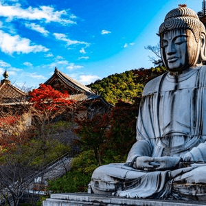 奈良寺廟，壺阪寺