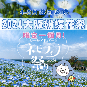 2024大阪粉蝶花祭💙限定一個月‼️