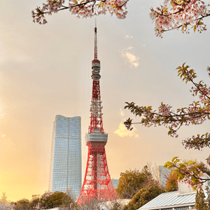 近距離與東京鐵塔打卡