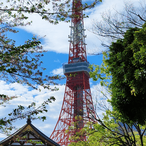 東京鐵塔#黃昏好靚