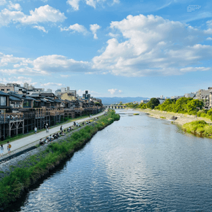 京都美景❣︎ 超美的鴨川～