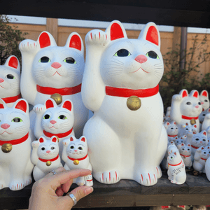 豪德寺 貓貓神社