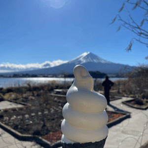 富士山🗻