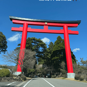 霧島神宮賞櫻🌸花