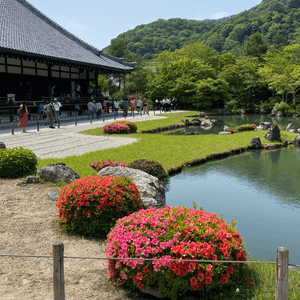日本京都享受大自然不要再去稻荷神社了，景點背後都有一段歷史～