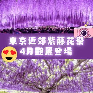 紫藤花4月東京接力盛開💜全日本唯一獲評世界10大夢幻旅遊景點