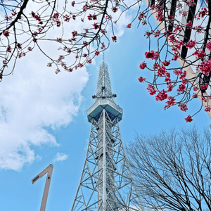 名古屋打卡點！櫻花樹下拍名古屋電視塔