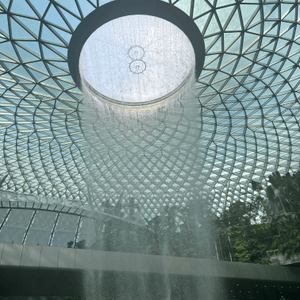 新加坡機場🌟星耀樟宜