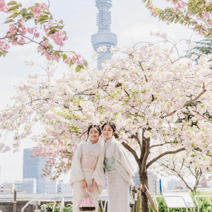 櫻花盛開的隅田公園
