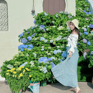 🌸🏝️深圳 Ｉ渡假風打卡餐廳