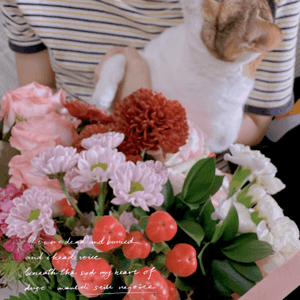 可愛貓貓與花打卡